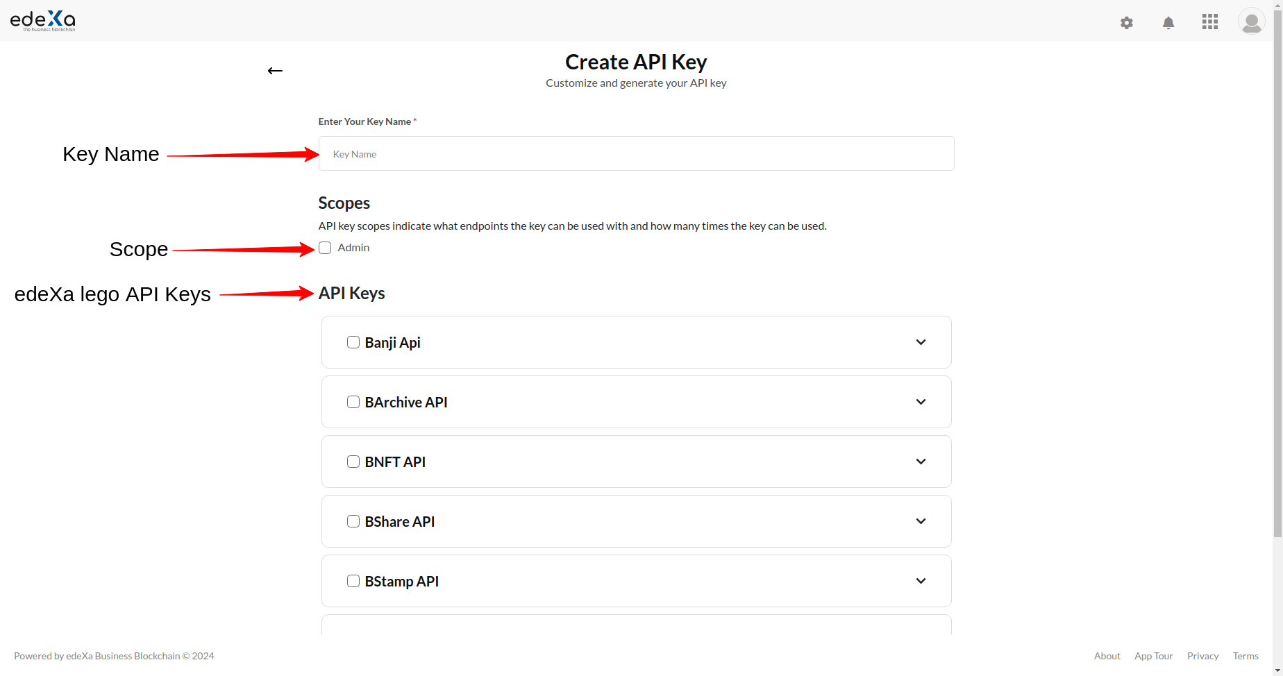 edeXa API List Page